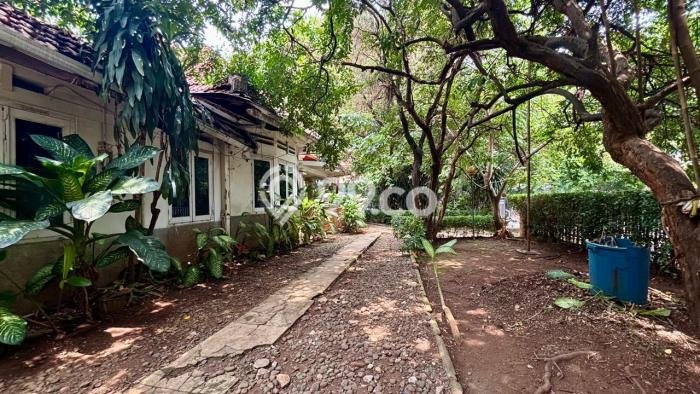 Siap Huni Rumah Mewah 4 Kamar di Menteng Dekat ke Mana Pun Siap Huni Rumah Mewah 4 Kamar di Menteng Dekat ke Mana Pun