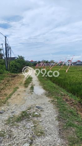 Rumah 4 KT 1 KM di Lokasi Strategis Denpasar Selatan, Denpasar Rumah 4 KT 1 KM di Lokasi Strategis Denpasar Selatan, Denpasar