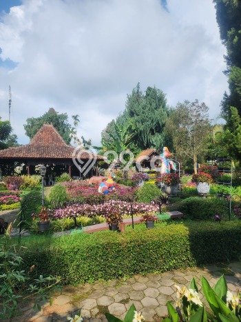 Tanah Dijual Area Strategis di Lembang Bandung 10799m2 Tanah Dijual Area Strategis di Lembang Bandung 10799m2