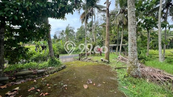 Tanah Dijual Lokasi Tabanan, Tabanan Luas 1200m2 Legalitas Aman Tanah Dijual Lokasi Tabanan, Tabanan Luas 1200m2 Legalitas Aman
