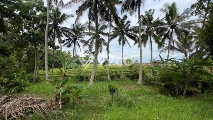 Tanah Dijual Lokasi Tabanan, Tabanan Luas 1200m2 Legalitas Aman Tanah Dijual Lokasi Tabanan, Tabanan Luas 1200m2 Legalitas Aman