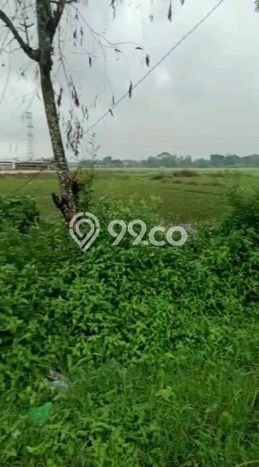 Jarang Ada! Tanah di Bangkalan Punya Luas 9110m2 - Jarang Ada! Tanah di Bangkalan Punya Luas 9110m2 -
