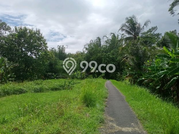Untuk Dijual Tanah di Bandongan Magelang Luas 2750m2 - Untuk Dijual Tanah di Bandongan Magelang Luas 2750m2 -