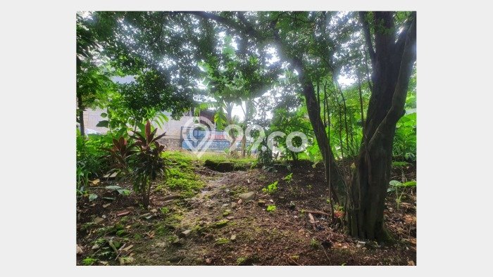 Lahan Dijual Lokasi Strategis di Depok dengan Luas 2600m2 Lahan Dijual Lokasi Strategis di Depok dengan Luas 2600m2