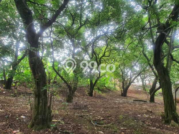 Tanah Kavling di Pancoran Mas Dijual dengan Luas 2600m2 Tanah Kavling di Pancoran Mas Dijual dengan Luas 2600m2