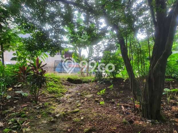 Tanah Kavling di Pancoran Mas Dijual dengan Luas 2600m2 Tanah Kavling di Pancoran Mas Dijual dengan Luas 2600m2