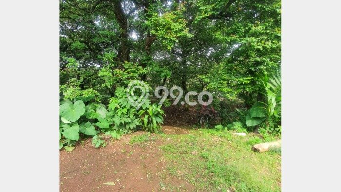 Tanah Kavling Dijual di Depok dengan Spesifikasi 2600m2 Tanah Kavling Dijual di Depok dengan Spesifikasi 2600m2