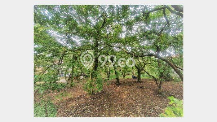 Tanah Dijual di Depok Seluas 2600m2 Strategis Tanah Dijual di Depok Seluas 2600m2 Strategis