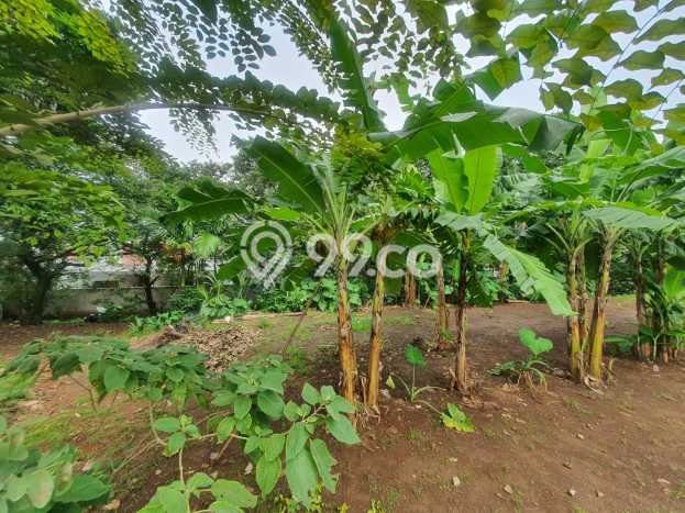 Tanah Kavling di Pancoran Mas Dijual dengan Luas 2600m2 Tanah Kavling di Pancoran Mas Dijual dengan Luas 2600m2