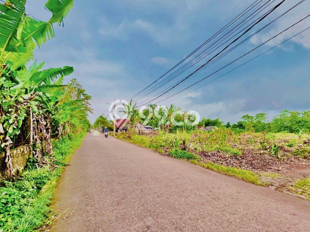 Lahan Strategis di Cisauk Dijual dengan Luas 98m2 Lahan Strategis di Cisauk Dijual dengan Luas 98m2