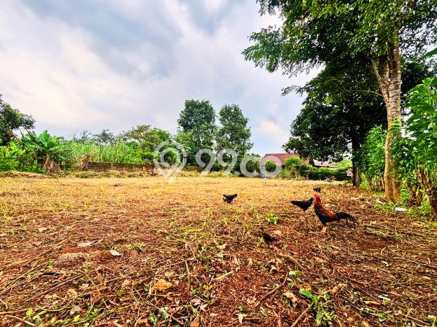 Kavling Tanah di Legok Dijual Luas 117m2 Legalitas SHM Kavling Tanah di Legok Dijual Luas 117m2 Legalitas SHM