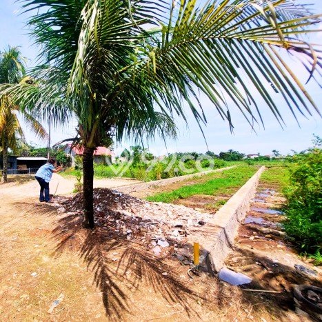 Untuk Dijual Tanah di Bogor Barat Bogor Luas 103m2 SHM Untuk Dijual Tanah di Bogor Barat Bogor Luas 103m2 SHM