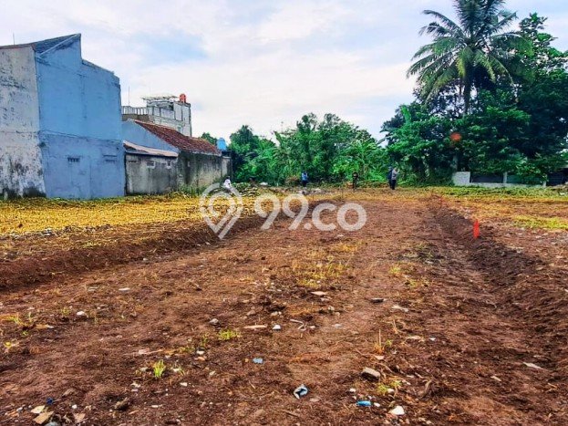 Jarang Ada! Tanah di Ciomas Punya Luas 100m2 SHM Jarang Ada! Tanah di Ciomas Punya Luas 100m2 SHM