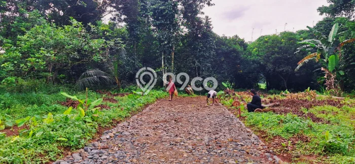Lahan Investasi Lokasi Setu Bekasi SHM Lahan Investasi Lokasi Setu Bekasi SHM
