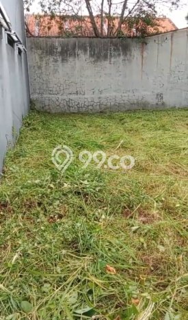 Dijual Rumah 3 Kamar Lokasi Ideal Bagus dan Strategis di Kedawung Dijual Rumah 3 Kamar Lokasi Ideal Bagus dan Strategis di Kedawung