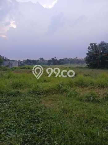Disewakan Tanah Lokasi Strategis di Cibarusah Bekasi 100m2 Disewakan Tanah Lokasi Strategis di Cibarusah Bekasi 100m2