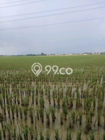 Lahan Disewakan di Tambun Utara, Bekasi, Luas 8500m2 - Lahan Disewakan di Tambun Utara, Bekasi, Luas 8500m2 -