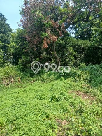 Kavling Tanah Lokasi Strategis di Mustikajaya, Bekasi Disewakan 7000m2 Kavling Tanah Lokasi Strategis di Mustikajaya, Bekasi Disewakan 7000m2
