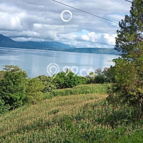 Tanah di Rantau Utara, Luas 15000m², Lokasi Strategis Tanah di Rantau Utara, Luas 15000m², Lokasi Strategis