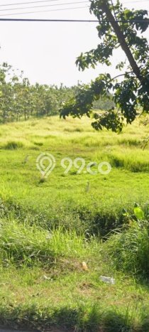 Tanah Kosong Dijual di Cirebon dengan Area 8335m2 Tanah Kosong Dijual di Cirebon dengan Area 8335m2
