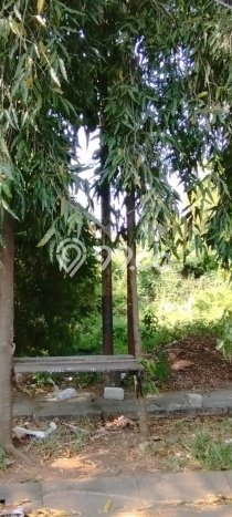 Lahan untuk Disewa di Cirebon Luas 400m2 Lahan untuk Disewa di Cirebon Luas 400m2