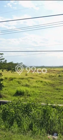 Lahan Dijual Lokasi Ciledug, Cirebon dengan Luas Tanah 15800m2 dan Status - Lahan Dijual Lokasi Ciledug, Cirebon dengan Luas Tanah 15800m2 dan Status -