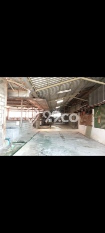Gudang untuk Disewa di Pusat Cirebon Luas Bangunan 6500m2 Gudang untuk Disewa di Pusat Cirebon Luas Bangunan 6500m2