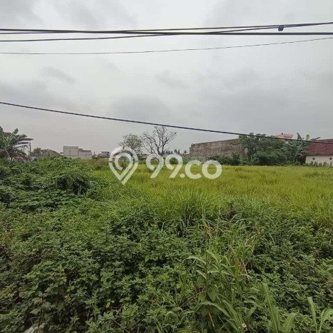 Disewakan Tanah di Babelan Luas 5978m2 SHM Disewakan Tanah di Babelan Luas 5978m2 SHM