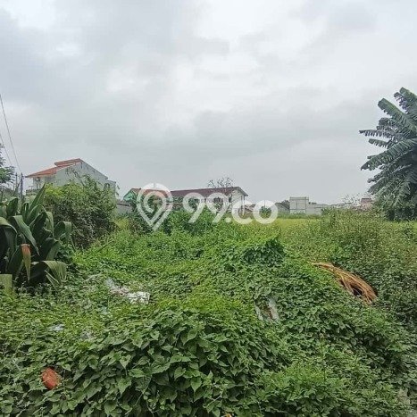 Disewakan Tanah di Babelan Luas 5978m2 SHM Disewakan Tanah di Babelan Luas 5978m2 SHM