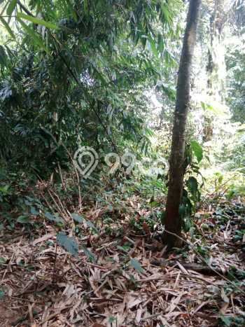 Kavling Tanah Lokasi Strategis di Cisauk, Tangerang Disewakan 3100m2 Kavling Tanah Lokasi Strategis di Cisauk, Tangerang Disewakan 3100m2