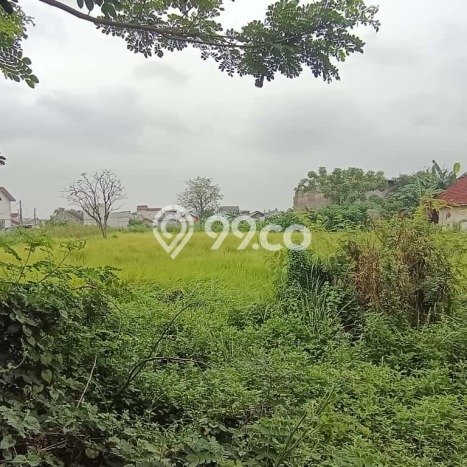 Disewakan Tanah di Babelan Luas 5978m2 SHM Disewakan Tanah di Babelan Luas 5978m2 SHM