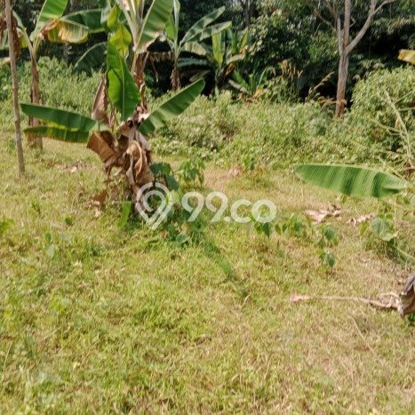 Kavling Tanah Lokasi Strategis di Cisauk, Tangerang Disewakan 3100m2 Kavling Tanah Lokasi Strategis di Cisauk, Tangerang Disewakan 3100m2
