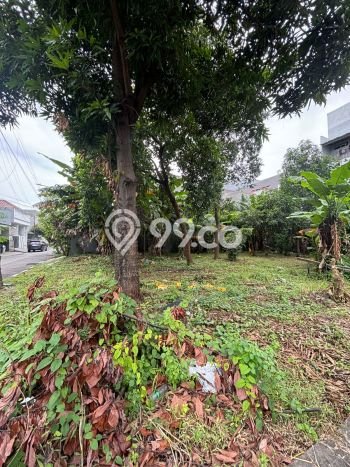 Tanah untuk Dijual di Cakung Jakarta Timur Luas 280m2 Tanah untuk Dijual di Cakung Jakarta Timur Luas 280m2