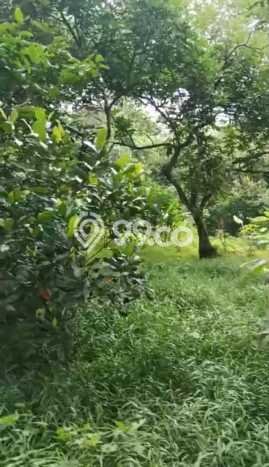 Dijual Tanah Lokasi Bekasi, Bekasi Seluas 5321m2 Dijual Tanah Lokasi Bekasi, Bekasi Seluas 5321m2