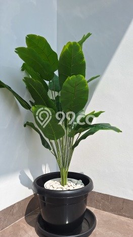 Hunian Super Mewah dengan Akses Paling Strategis di BSD Foresta, Tangerang Hunian Super Mewah dengan Akses Paling Strategis di BSD Foresta, Tangerang