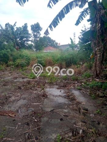 Tanah Kavling untuk Dijual di Parung Panjang Bogor 3536m2 Tanah Kavling untuk Dijual di Parung Panjang Bogor 3536m2