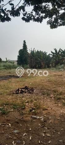 Tanah Kavling untuk Dijual di Parung Panjang Bogor 3536m2 Tanah Kavling untuk Dijual di Parung Panjang Bogor 3536m2