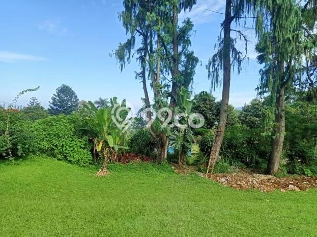 Tanah Kavling untuk Dijual di Cisarua Bogor 9120m2 Tanah Kavling untuk Dijual di Cisarua Bogor 9120m2