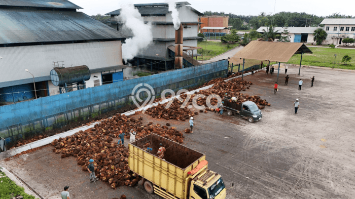 Pabrik Premium di Sungai Gelam, Luas 160000m², Lokasi Komersial, Dekat Sungai Gelam, Muaro Jambi, Muaro Jambi Pabrik Premium di Sungai Gelam, Luas 160000m², Lokasi Komersial, Dekat Sungai Gelam, Muaro Jambi, Muaro Jambi