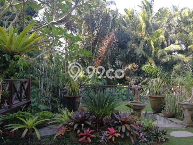 PROMO SPESIAL! Rumah Siap Huni di , Gianyar, LT 500m2m² LB 300m2m² PROMO SPESIAL! Rumah Siap Huni di , Gianyar, LT 500m2m² LB 300m2m²