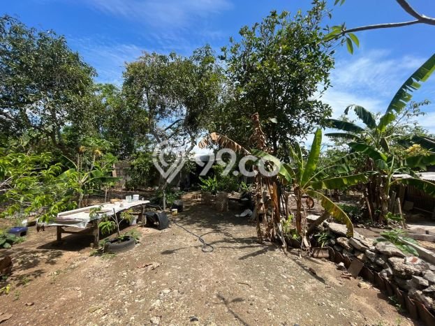 Tanah Dijual di Badung Seluas 400m2 Strategis Tanah Dijual di Badung Seluas 400m2 Strategis