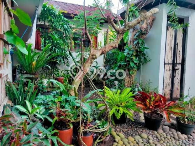Disewakan Vila Strategis di , Area 0m2m², Akses ke Badung, Badung Disewakan Vila Strategis di , Area 0m2m², Akses ke Badung, Badung