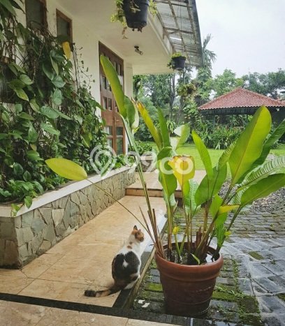 Dijual Hunian Mewah dengan Fasilitas Sekitar Lengkap di Cilandak, Jakarta Selatan Dijual Hunian Mewah dengan Fasilitas Sekitar Lengkap di Cilandak, Jakarta Selatan