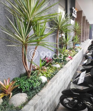Rumah Modern Minimalis 3 Kamar Bisa Langsung Pindah di Tembalang Rumah Modern Minimalis 3 Kamar Bisa Langsung Pindah di Tembalang