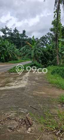 Lahan Dijual Lokasi Batealit, Jepara dengan Luas Tanah 2142m2 dan Status SHM Lahan Dijual Lokasi Batealit, Jepara dengan Luas Tanah 2142m2 dan Status SHM