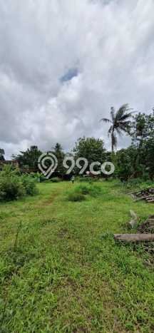 Lahan Dijual Lokasi Batealit, Jepara dengan Luas Tanah 2142m2 dan Status SHM Lahan Dijual Lokasi Batealit, Jepara dengan Luas Tanah 2142m2 dan Status SHM