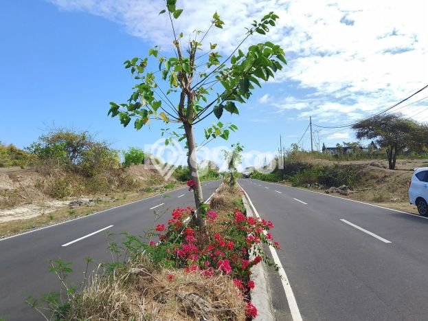 HARGA MENARIK! Tanah di Nusa Dua, Luas 3500m², Area Nyaman HARGA MENARIK! Tanah di Nusa Dua, Luas 3500m², Area Nyaman