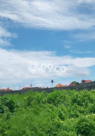 Tanah Investasi Dijual di Badung Punya Luas 130m2 Tanah Investasi Dijual di Badung Punya Luas 130m2