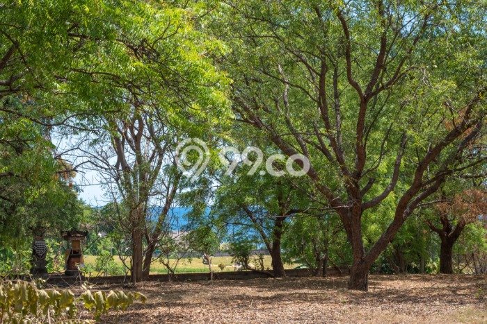 Dijual Tanah 1900m2 di Singaraja, Buleleng Dijual Tanah 1900m2 di Singaraja, Buleleng