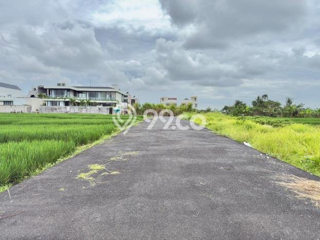 Tanah Disewa di Cemagi Strategis dan Memiliki Luas 1400m2 Tanah Disewa di Cemagi Strategis dan Memiliki Luas 1400m2